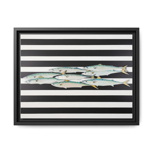 Striped Mackerel Canvas Print — Framed Matte Fish Wall Art