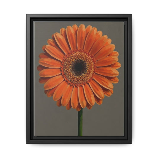 Orange Gerbera Daisy Matte Canvas Print (Framed)