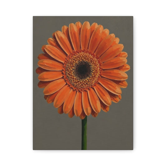 Orange Gerbera Flower Matte Canvas Print — Stretched Wall Art