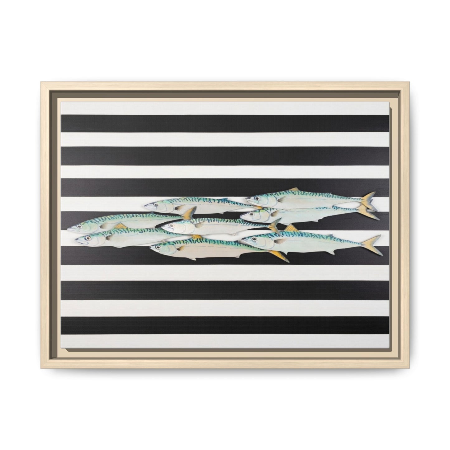 Striped Mackerel Canvas Print — Framed Matte Fish Wall Art