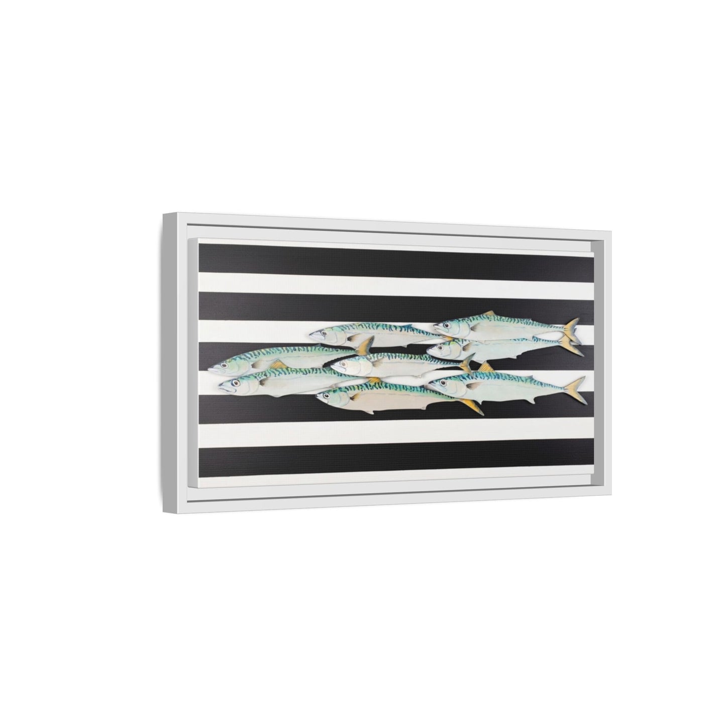 Striped Mackerel Canvas Print — Framed Matte Fish Wall Art