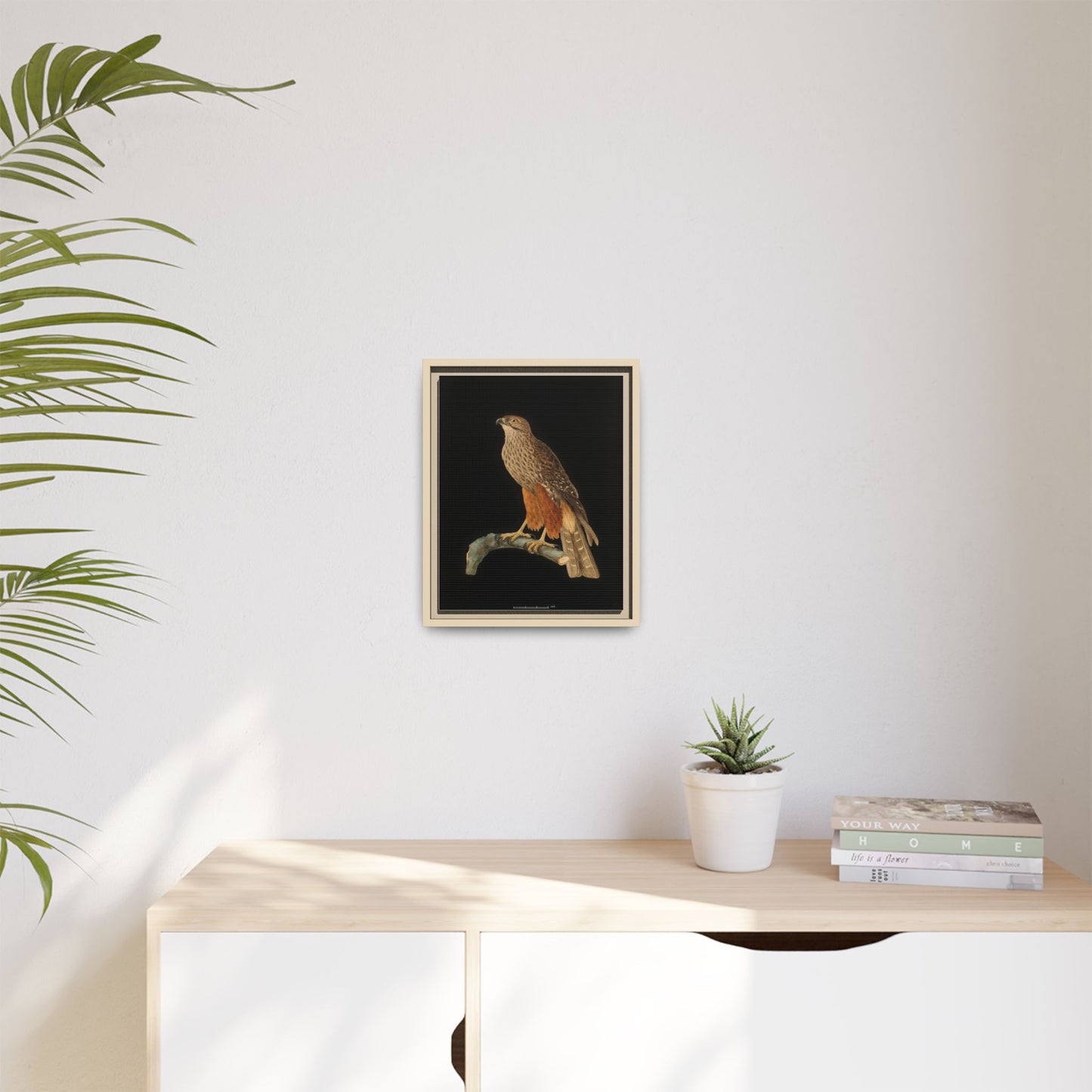 Framed Matte Canvas Print — Vintage Red-Shouldered Hawk Illustration