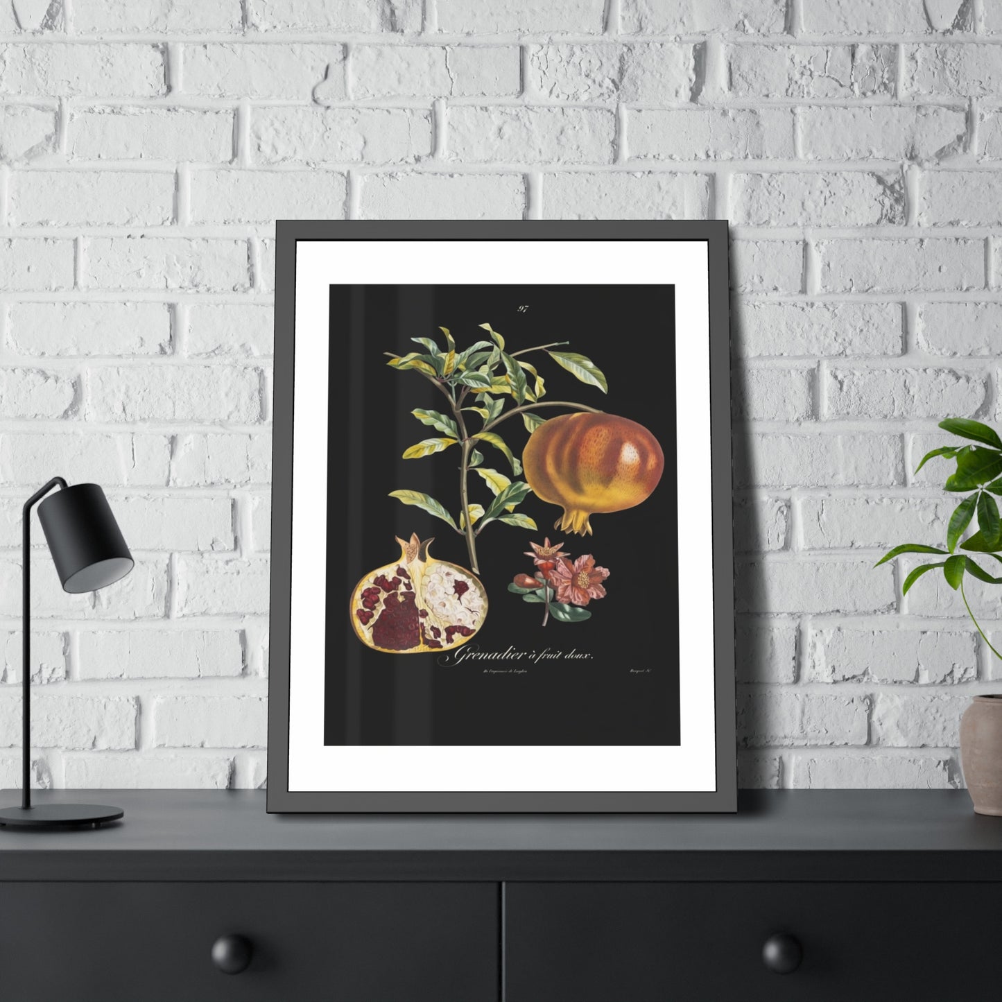 Pomegranate Botanical Framed Poster — Vintage Fruit Art Print