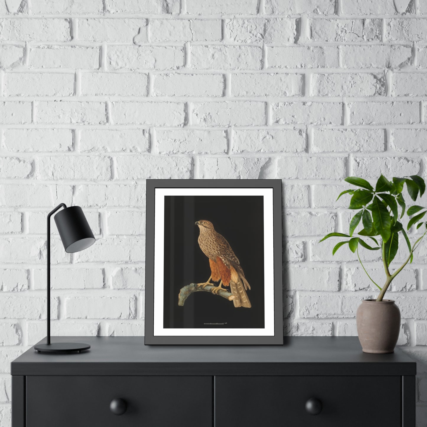 Framed Bird Art Print — Vintage Red-Shouldered Hawk Illustration Poster