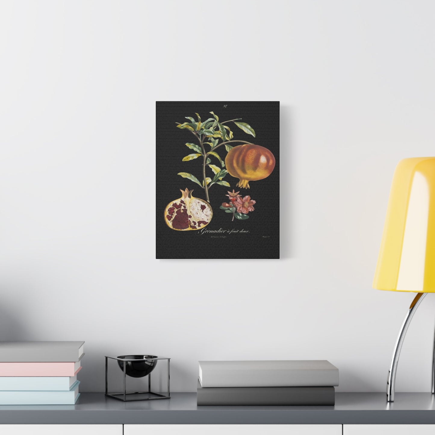 Pomegranate Botanical Canvas Print — Matte Stretched Wall Art