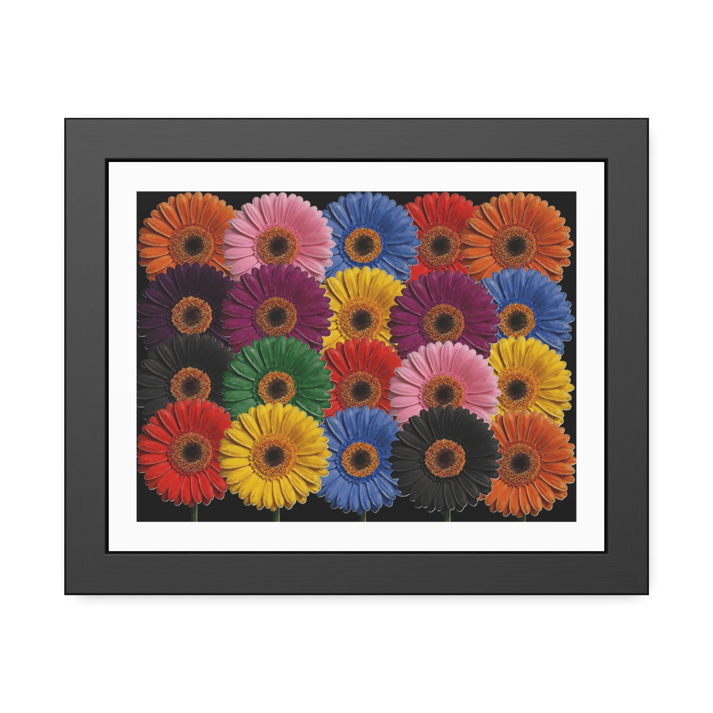 Framed Floral Poster — Colorful Gerbera Wall Art Print