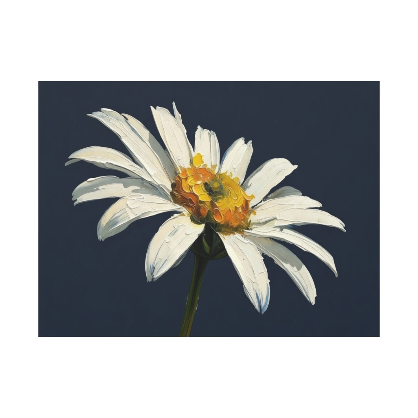 Daisy Oil-Paint Canvas Wall Art — Stretched Matte Floral Print