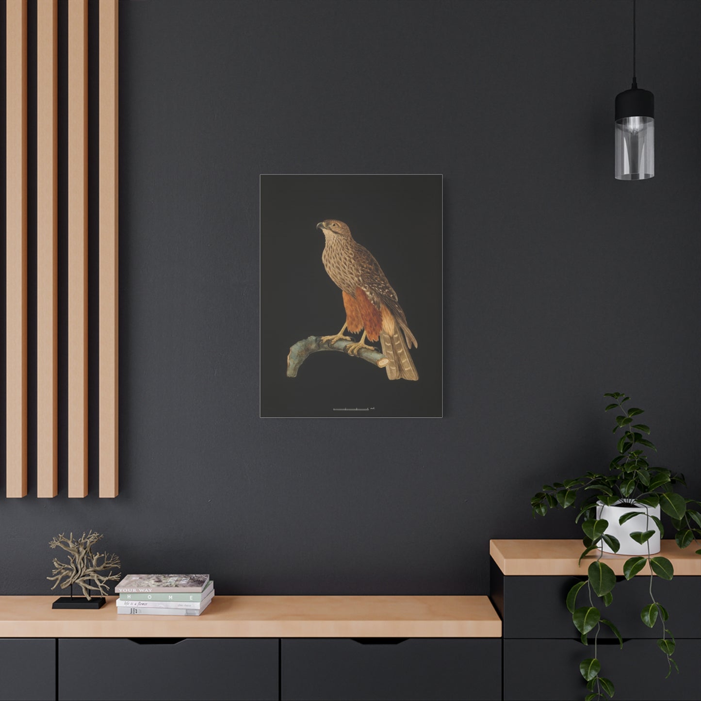 Falcon Art Canvas Print — Matte Stretched Bird Illustration