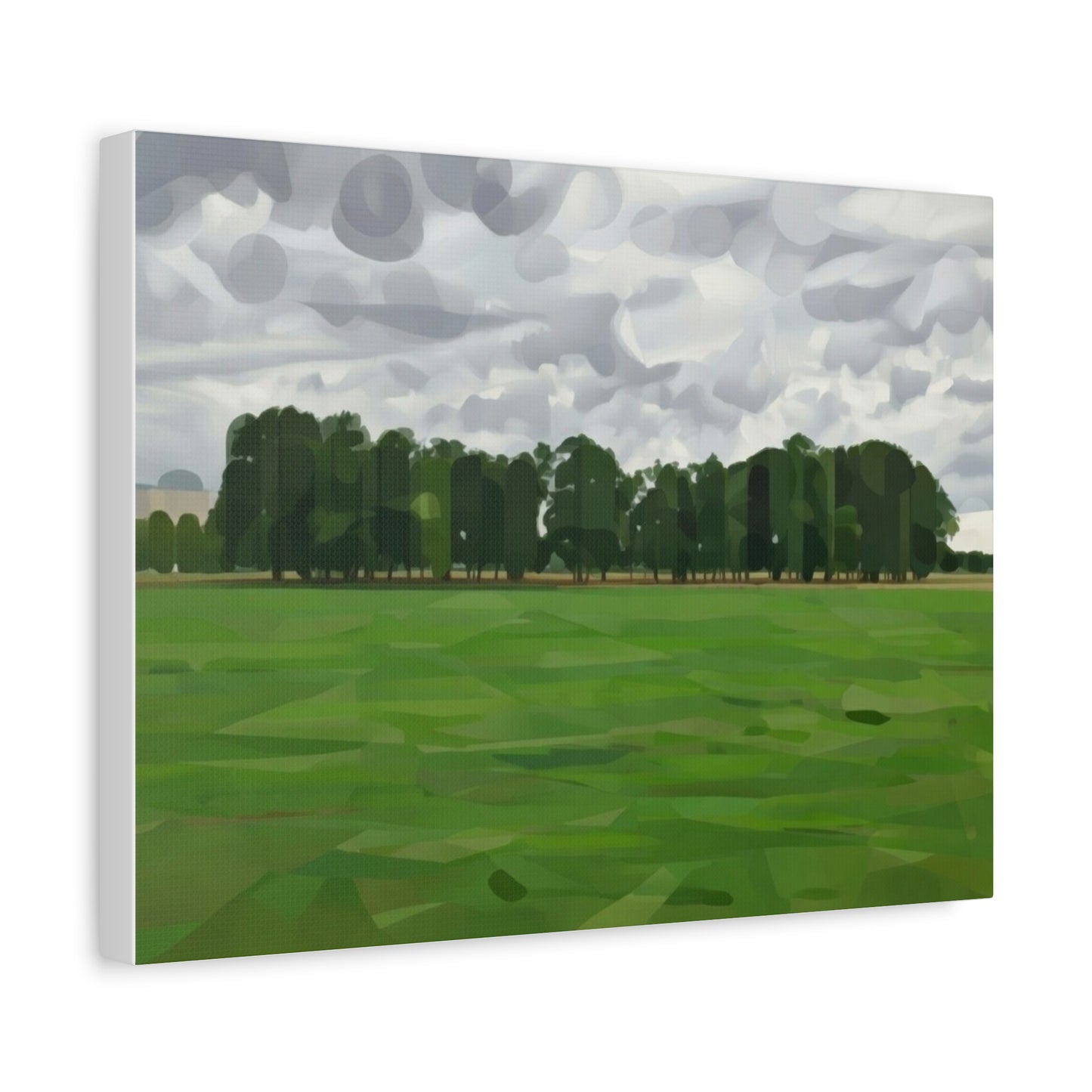Green Field Landscape Canvas Print — Tranquil Park Scene Matte Stretched Canvas