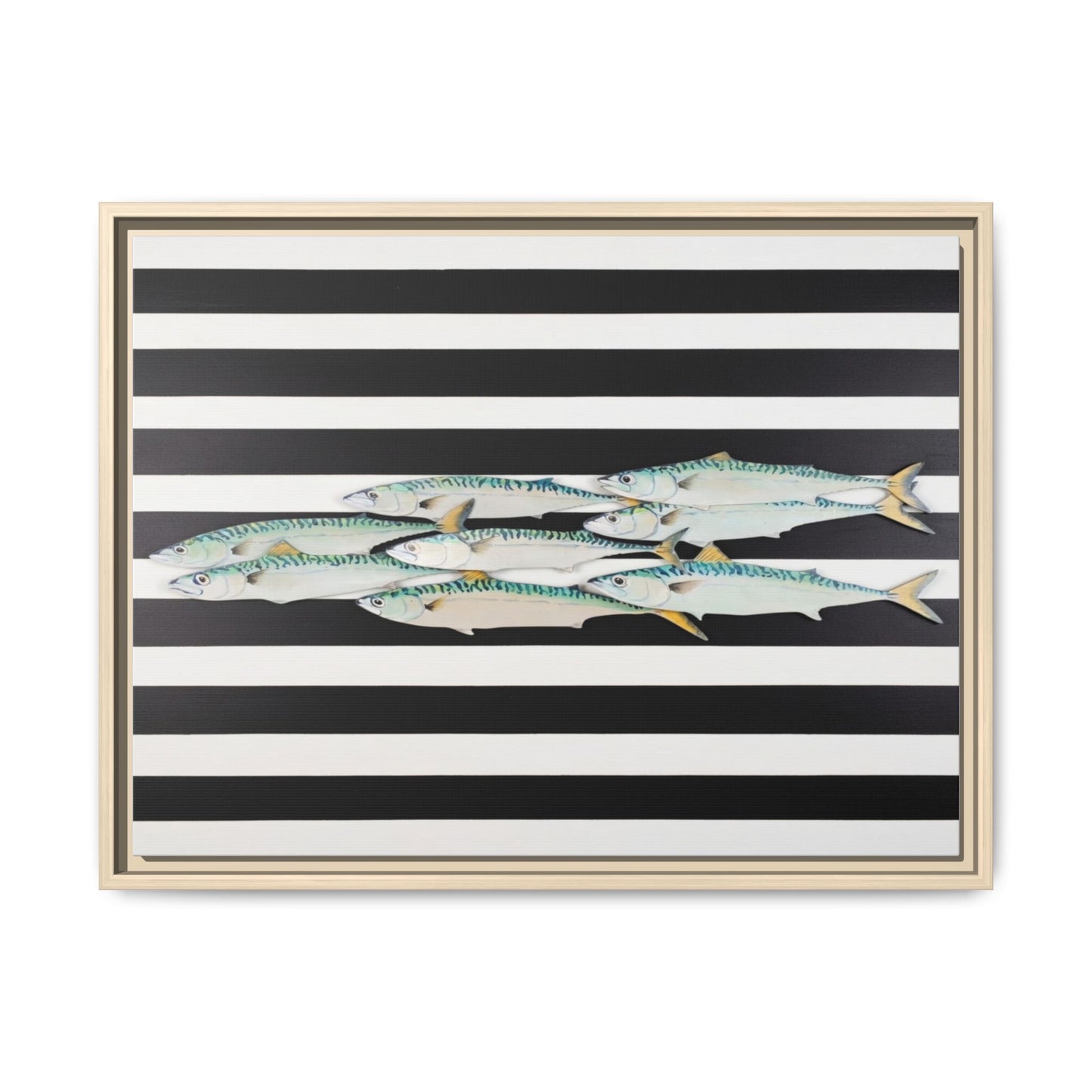 Striped Mackerel Canvas Print — Framed Matte Fish Wall Art