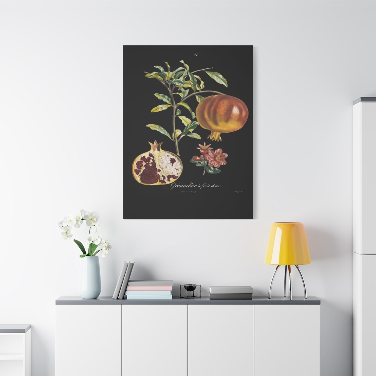 Pomegranate Botanical Canvas Print — Matte Stretched Wall Art