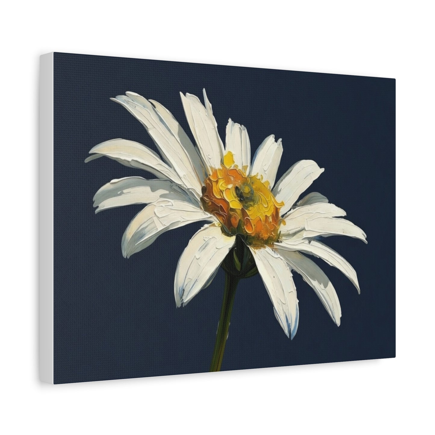 Daisy Oil-Paint Canvas Wall Art — Stretched Matte Floral Print