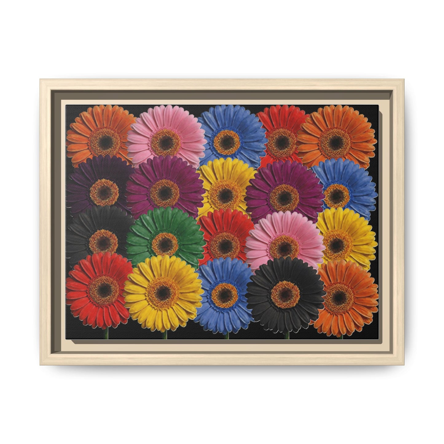 Framed Matte Canvas - Rainbow Gerbera Daisy Wall Art