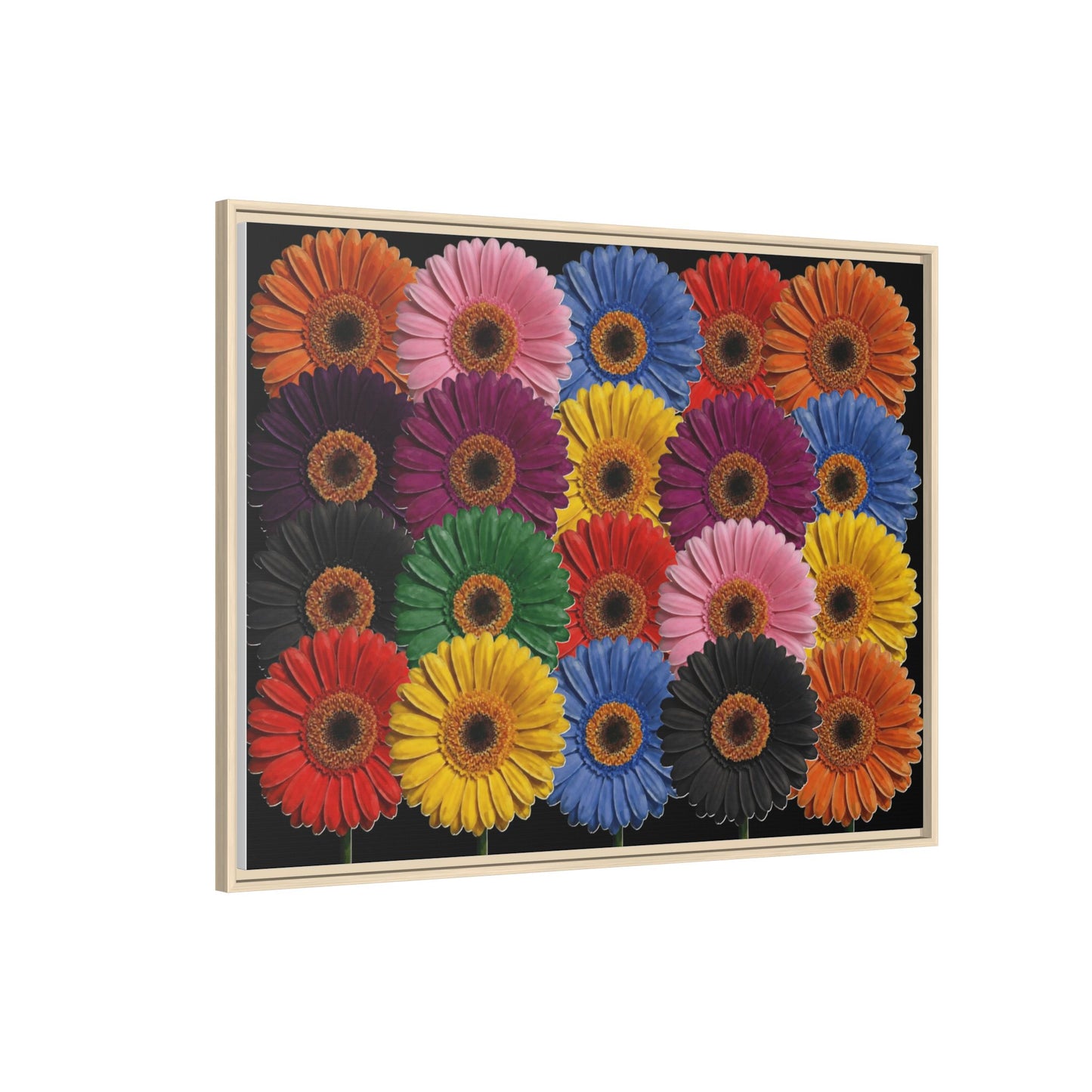Framed Matte Canvas - Rainbow Gerbera Daisy Wall Art