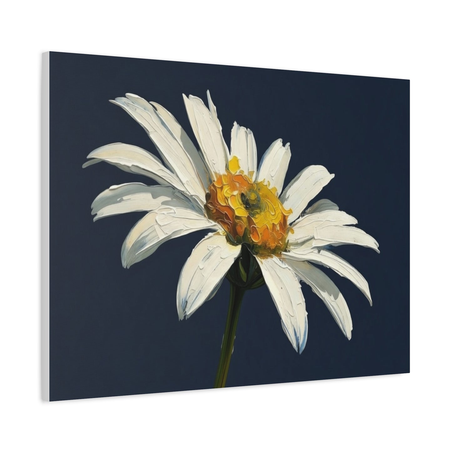 Daisy Oil-Paint Canvas Wall Art — Stretched Matte Floral Print
