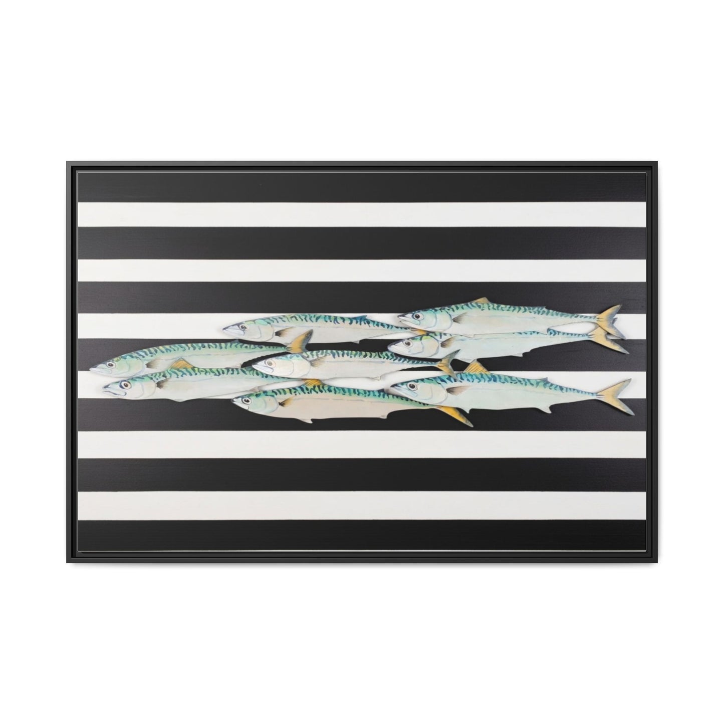 Striped Mackerel Canvas Print — Framed Matte Fish Wall Art