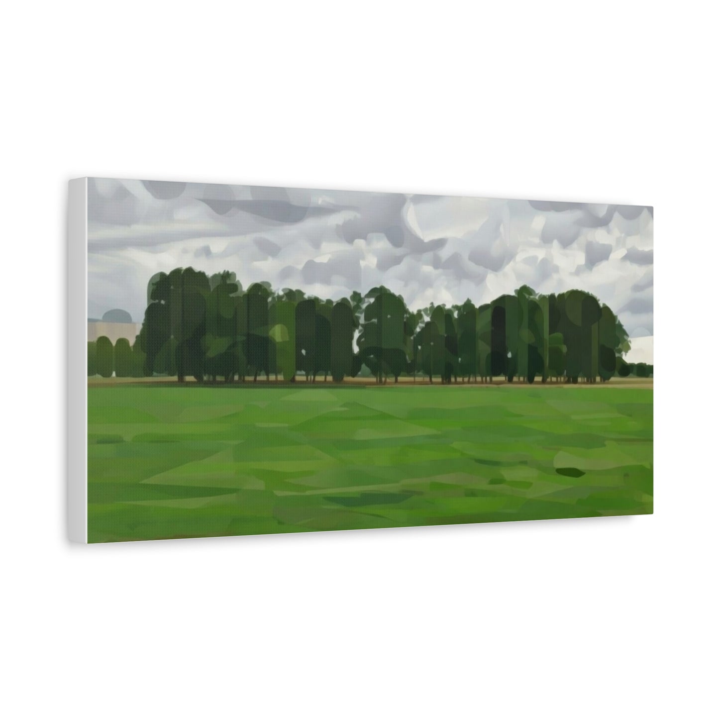 Green Field Landscape Canvas Print — Tranquil Park Scene Matte Stretched Canvas