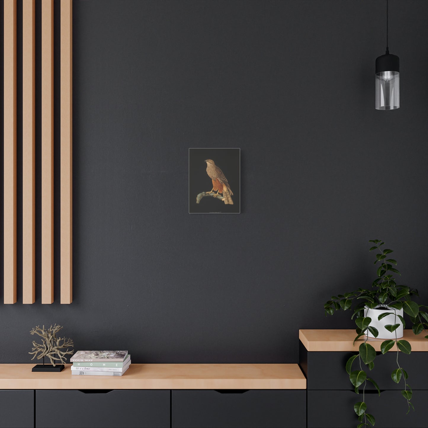 Falcon Art Canvas Print — Matte Stretched Bird Illustration