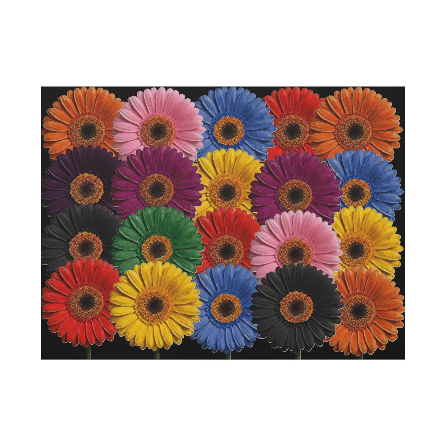 Colorful Gerbera Daisy Canvas Print — Vibrant Floral Wall Art