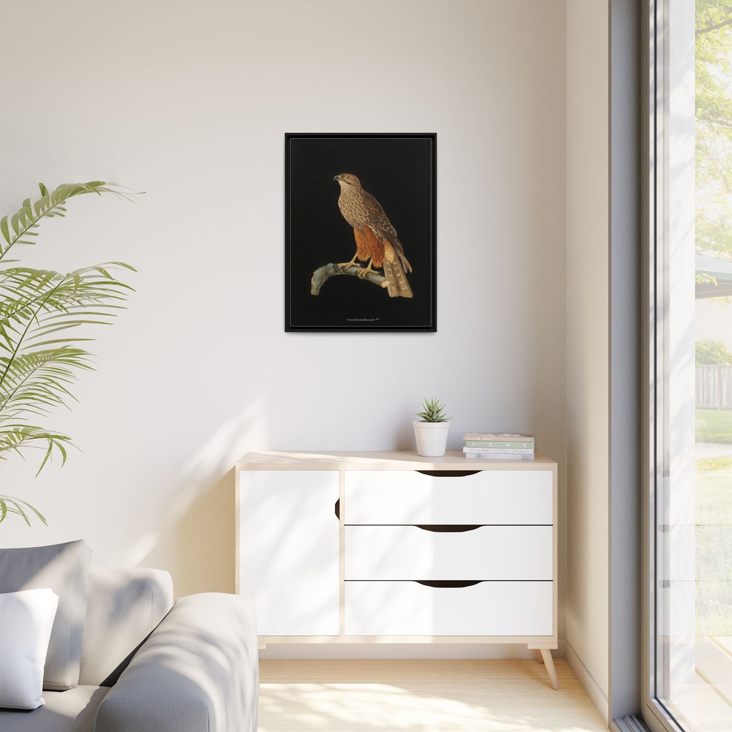 Framed Matte Canvas Print — Vintage Red-Shouldered Hawk Illustration