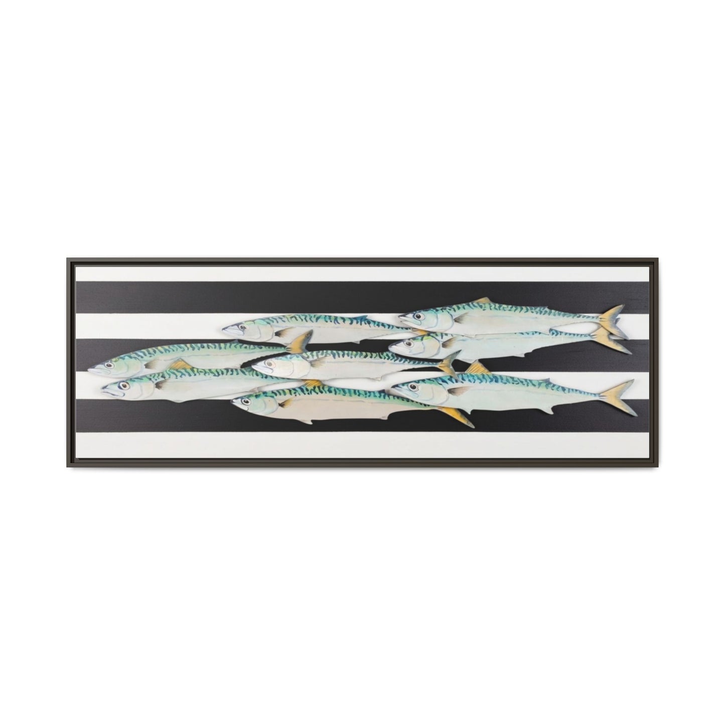 Striped Mackerel Canvas Print — Framed Matte Fish Wall Art