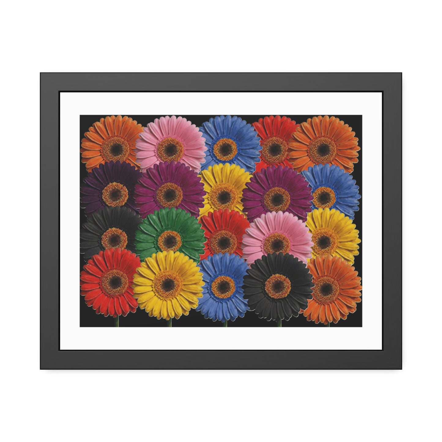 Framed Floral Poster — Colorful Gerbera Wall Art Print