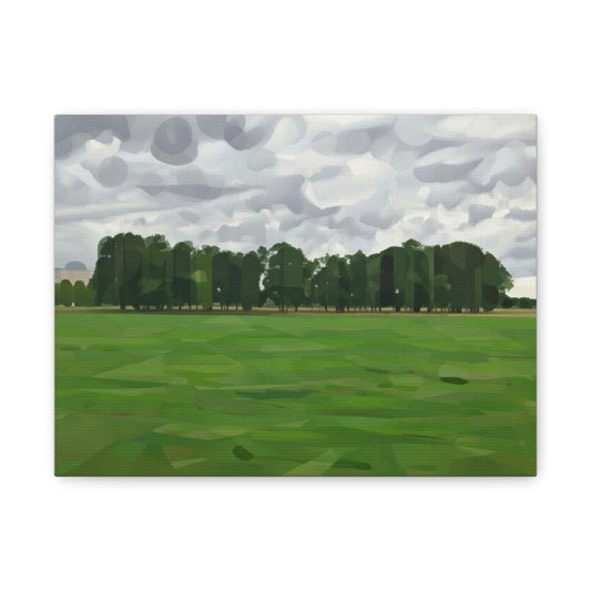 Green Field Landscape Canvas Print — Tranquil Park Scene Matte Stretched Canvas