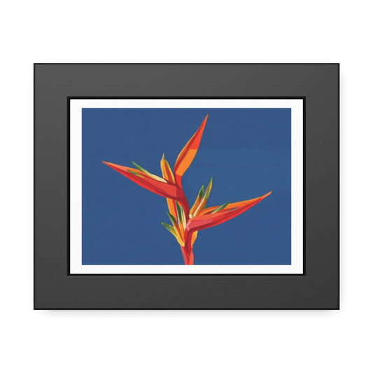 Bird of Paradise Framed Art Print — Tropical Flower Poster