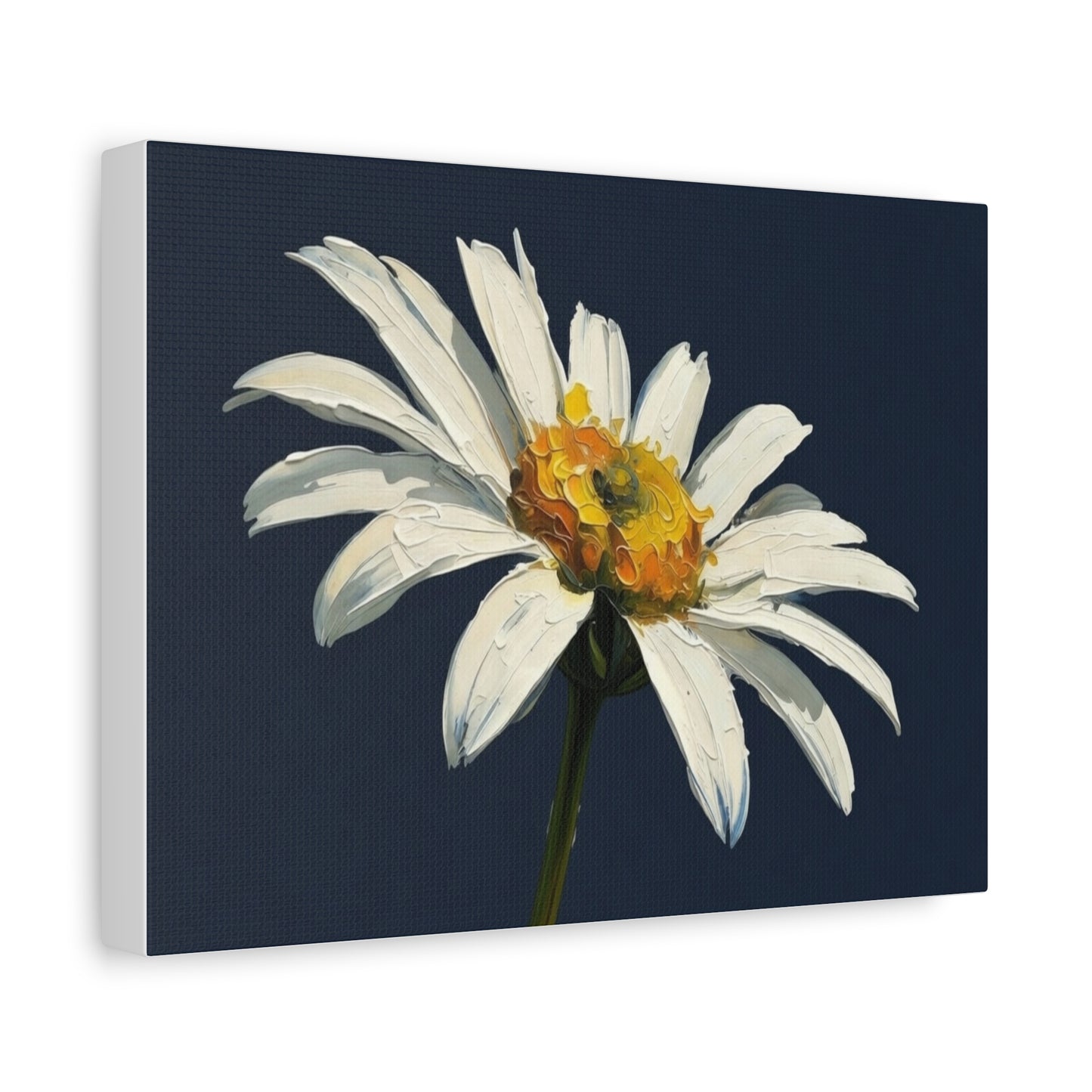 Daisy Oil-Paint Canvas Wall Art — Stretched Matte Floral Print