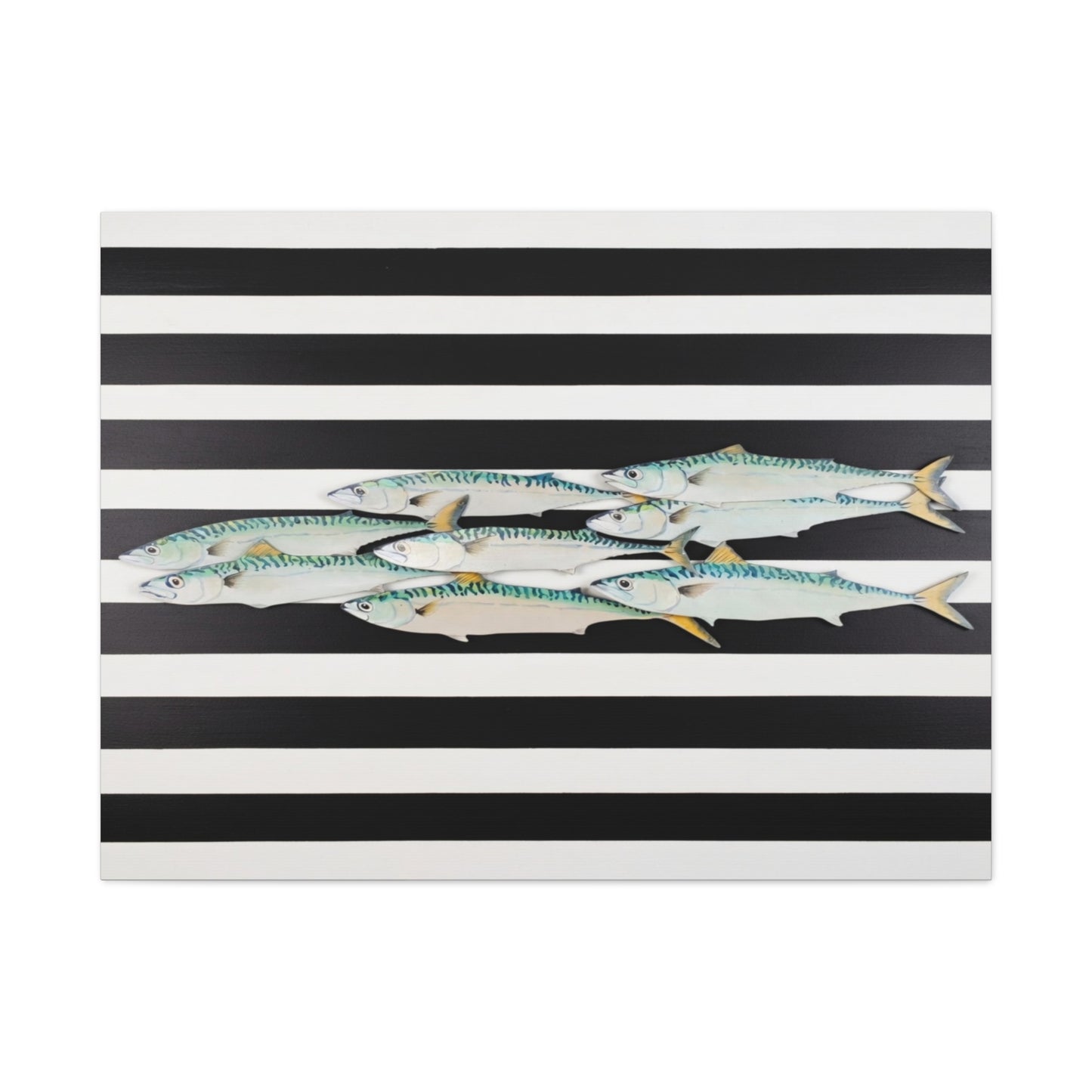 Striped Mackerel School Matte Canvas Print