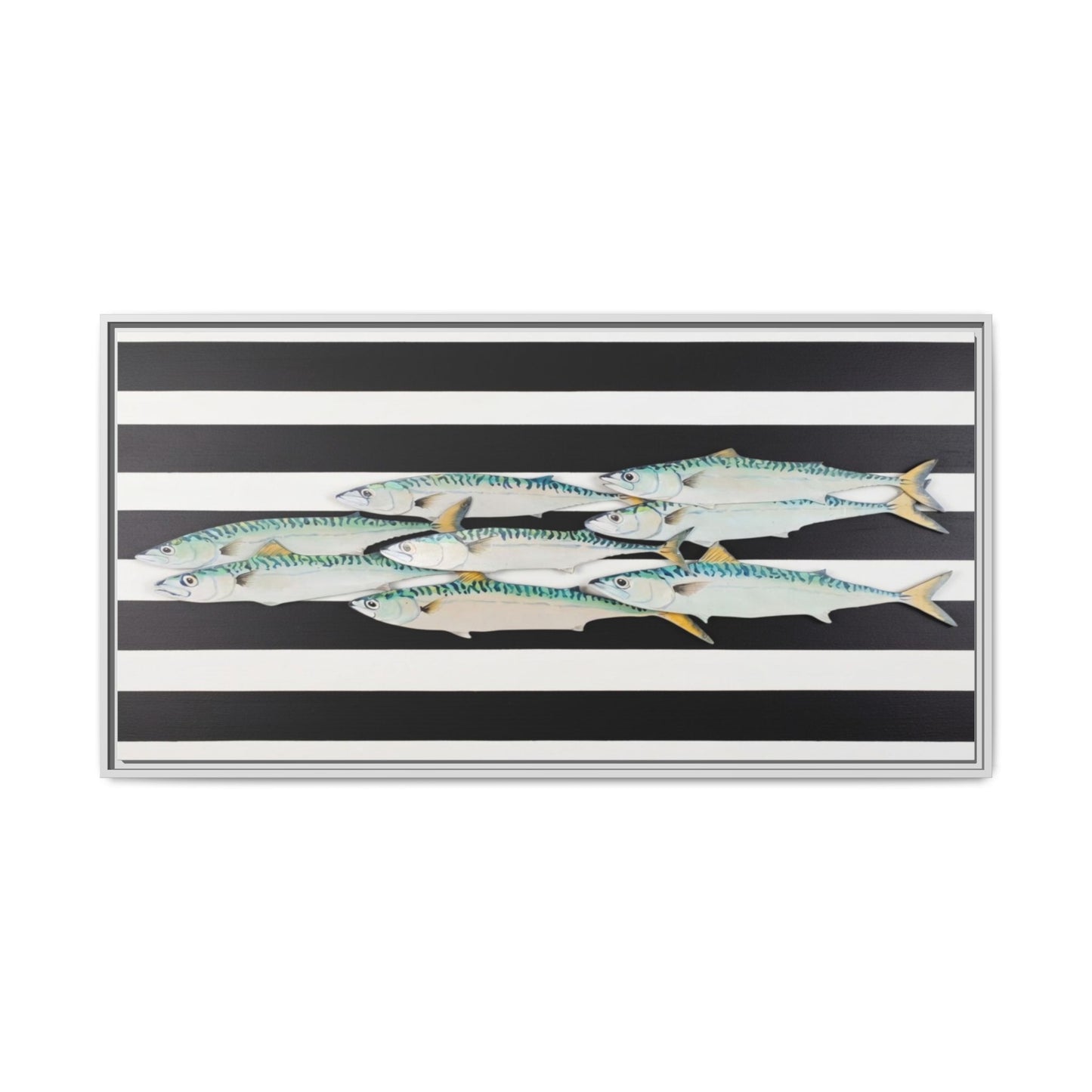 Striped Mackerel Canvas Print — Framed Matte Fish Wall Art