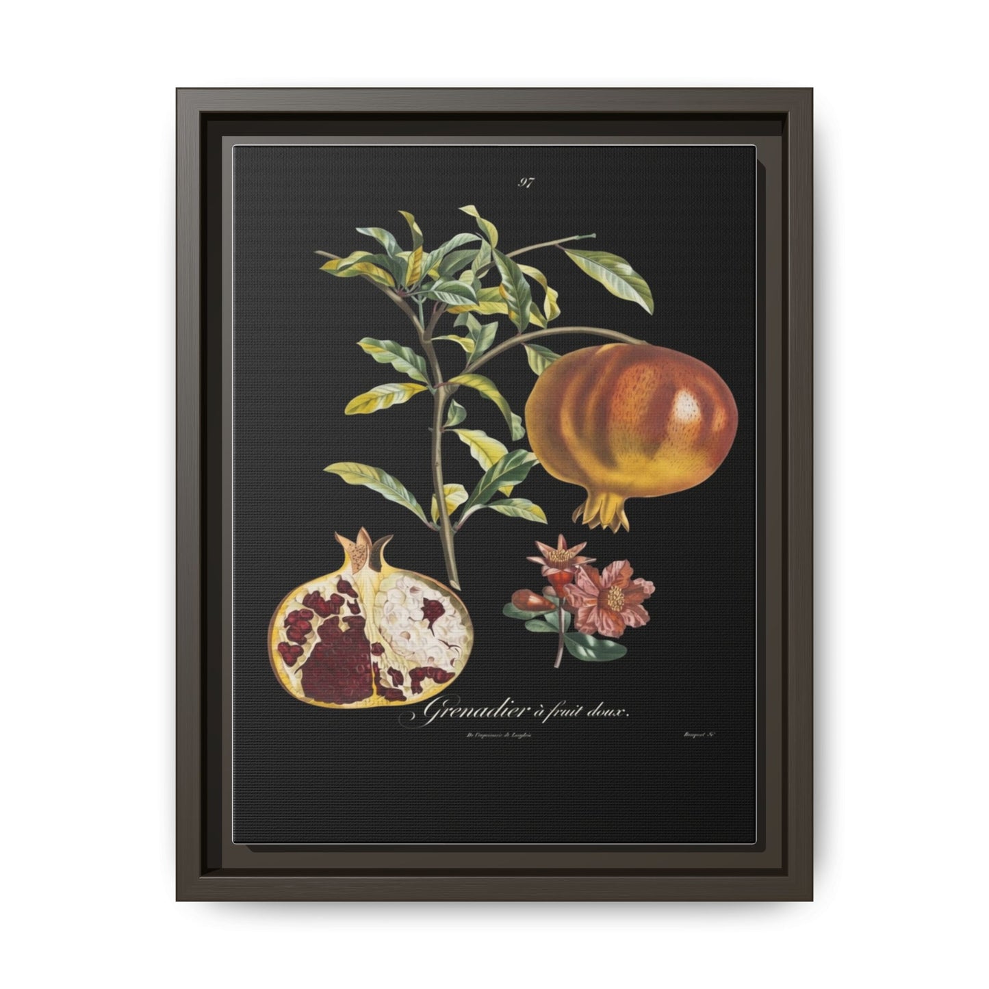 Pomegranate Botanical Framed Canvas Print — Vintage Fruit Wall Art