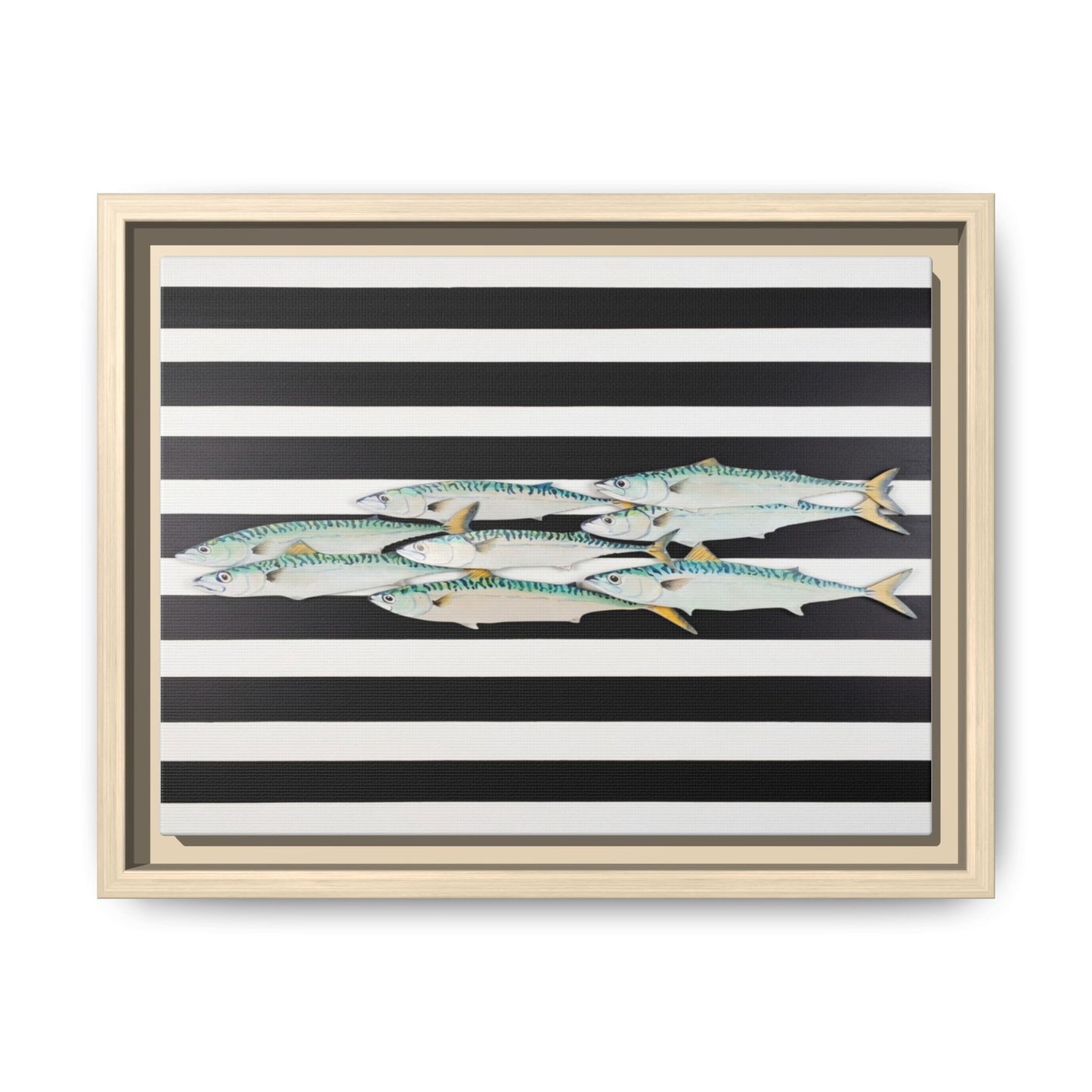 Striped Mackerel Canvas Print — Framed Matte Fish Wall Art