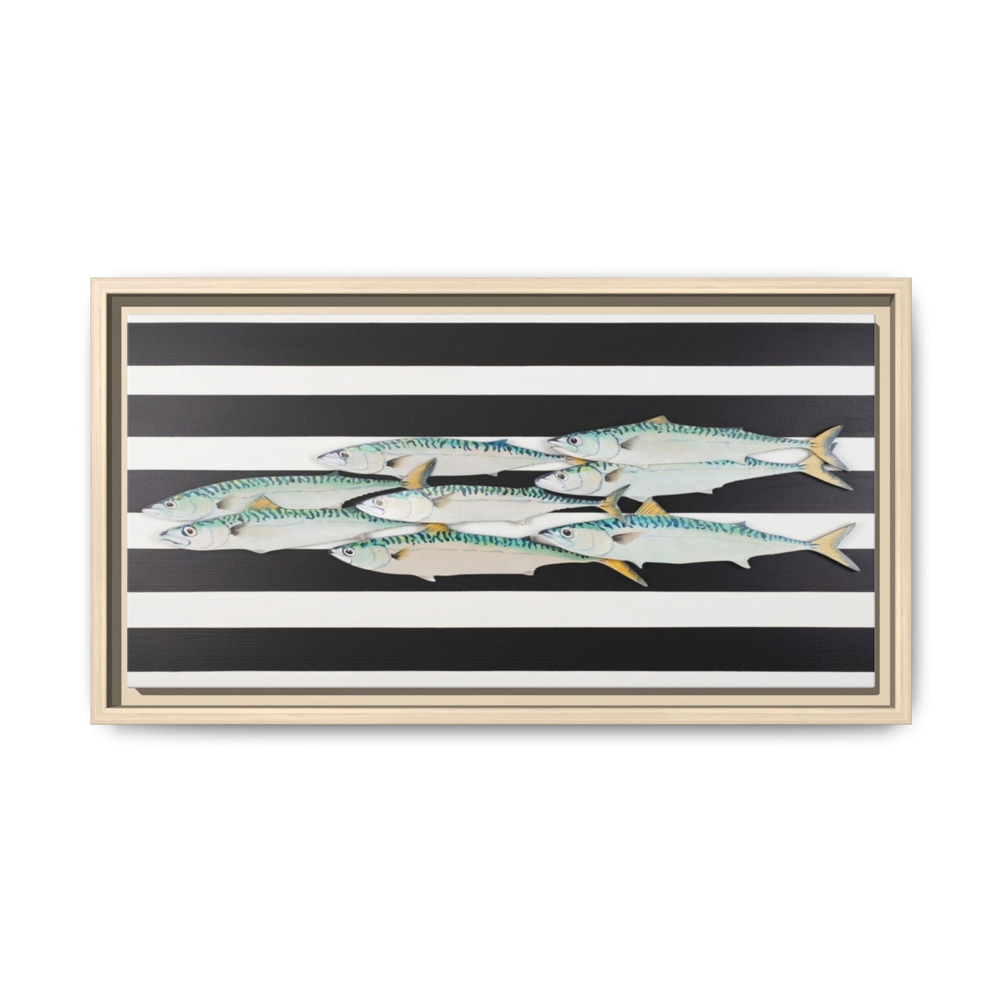 Striped Mackerel Canvas Print — Framed Matte Fish Wall Art