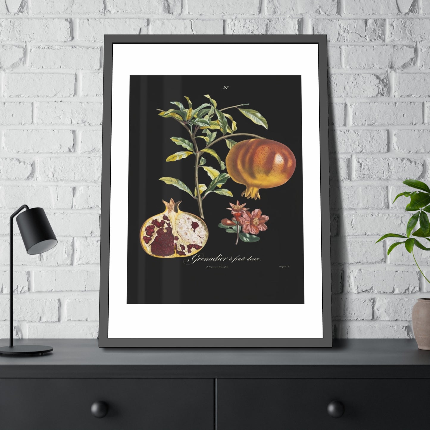 Pomegranate Botanical Framed Poster — Vintage Fruit Art Print