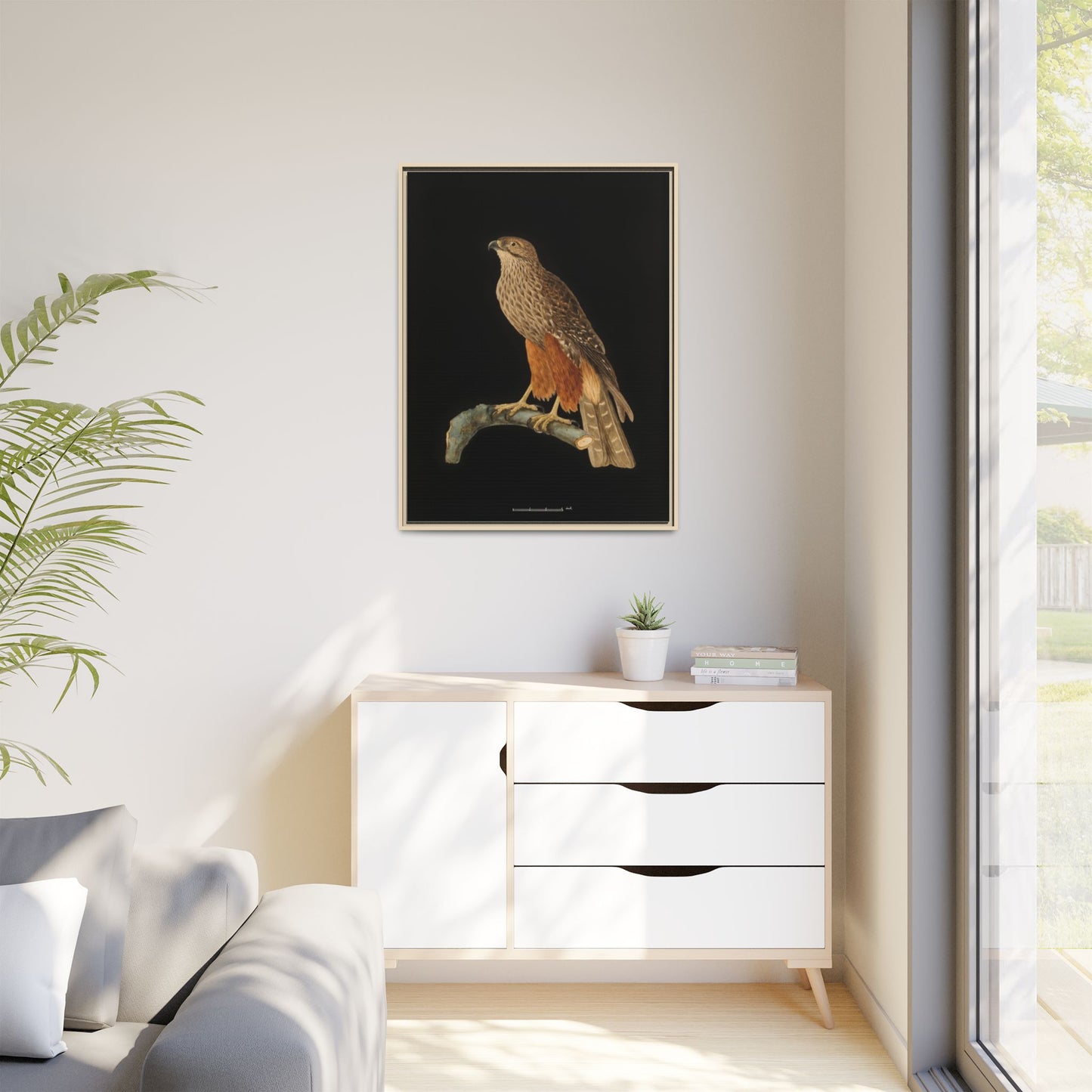 Framed Matte Canvas Print — Vintage Red-Shouldered Hawk Illustration