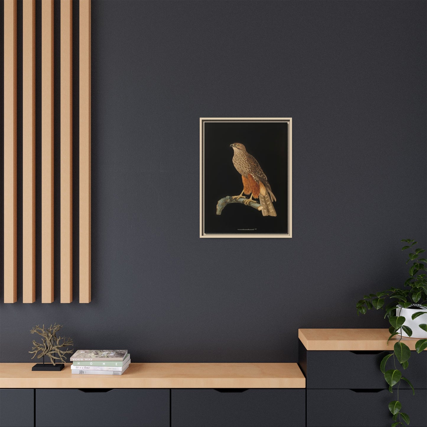 Framed Matte Canvas Print — Vintage Red-Shouldered Hawk Illustration