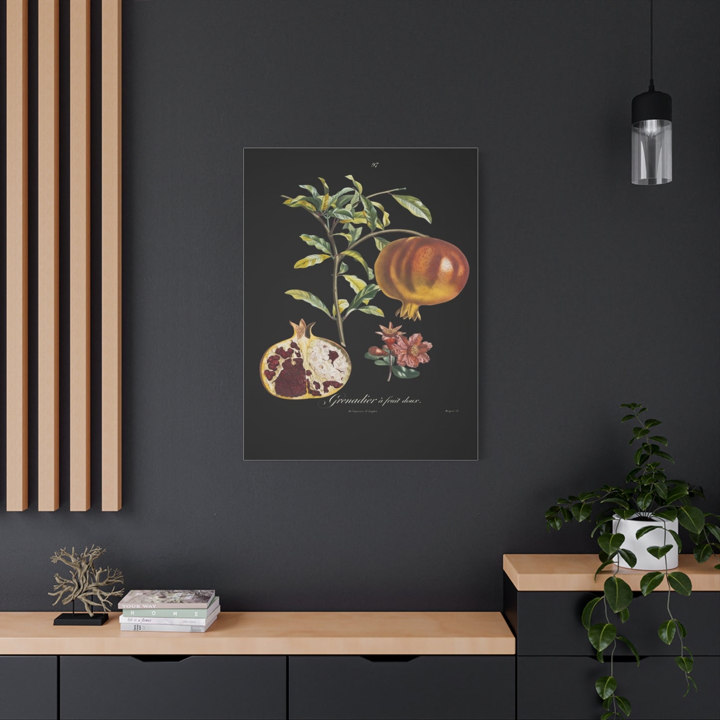 Pomegranate Botanical Canvas Print — Matte Stretched Wall Art