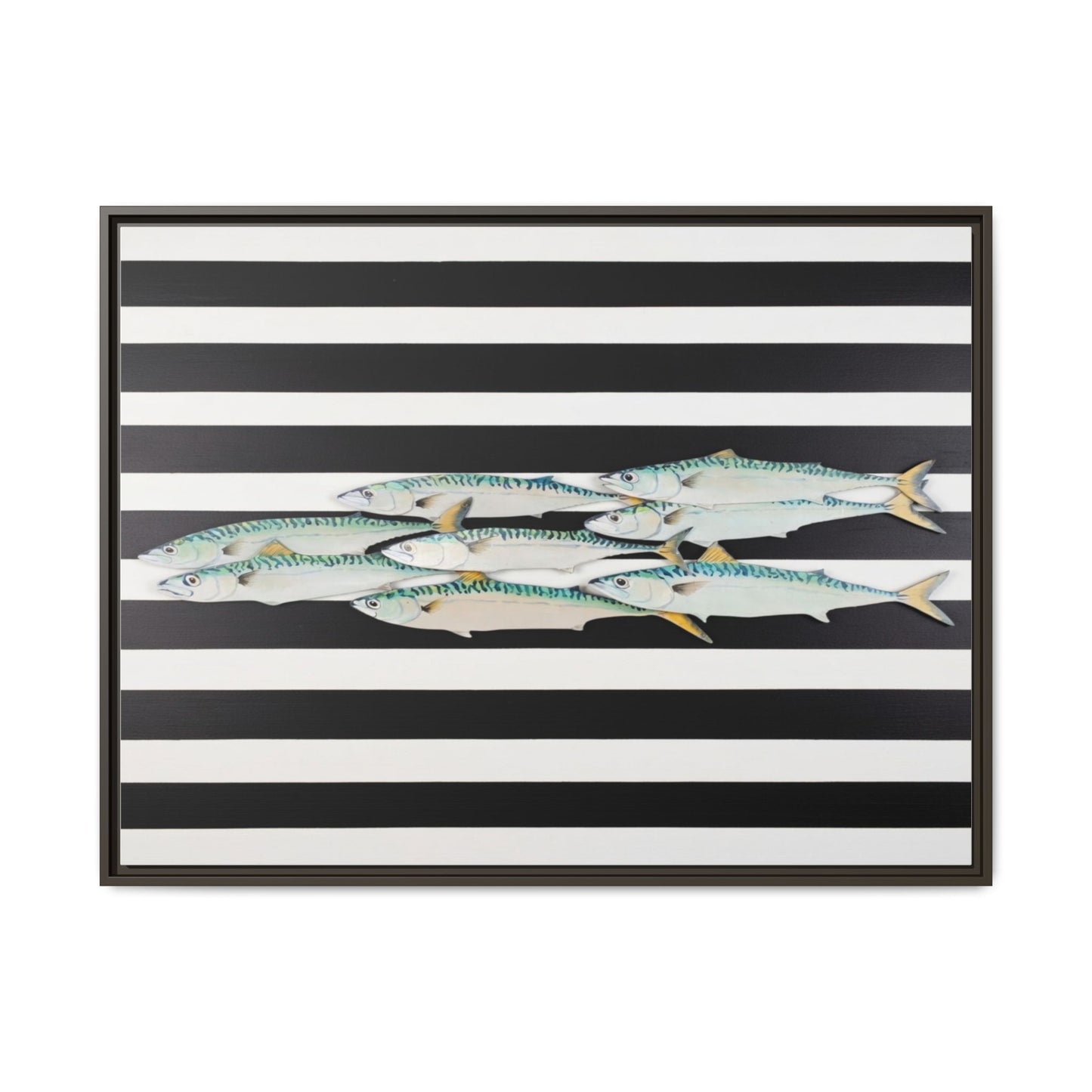 Striped Mackerel Canvas Print — Framed Matte Fish Wall Art