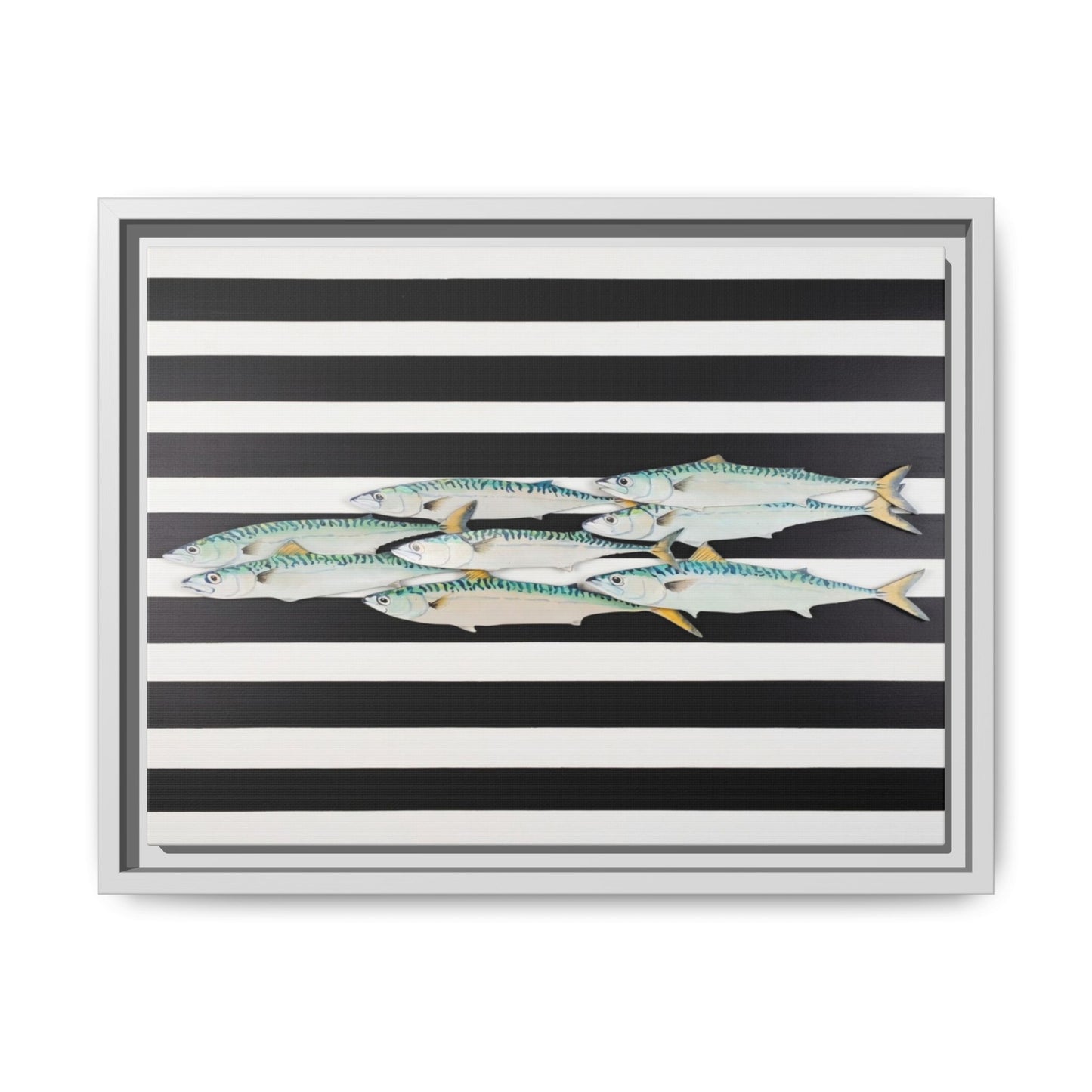 Striped Mackerel Canvas Print — Framed Matte Fish Wall Art