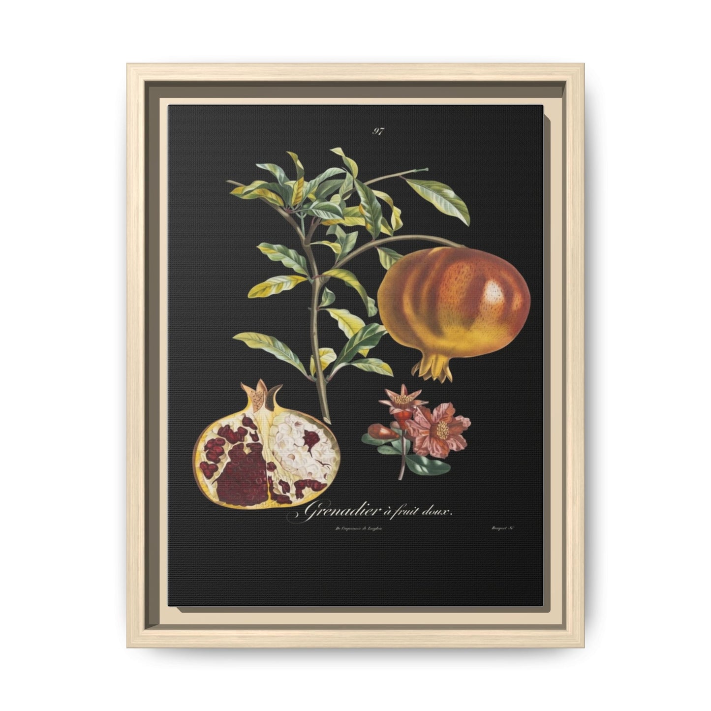 Pomegranate Botanical Framed Canvas Print — Vintage Fruit Wall Art