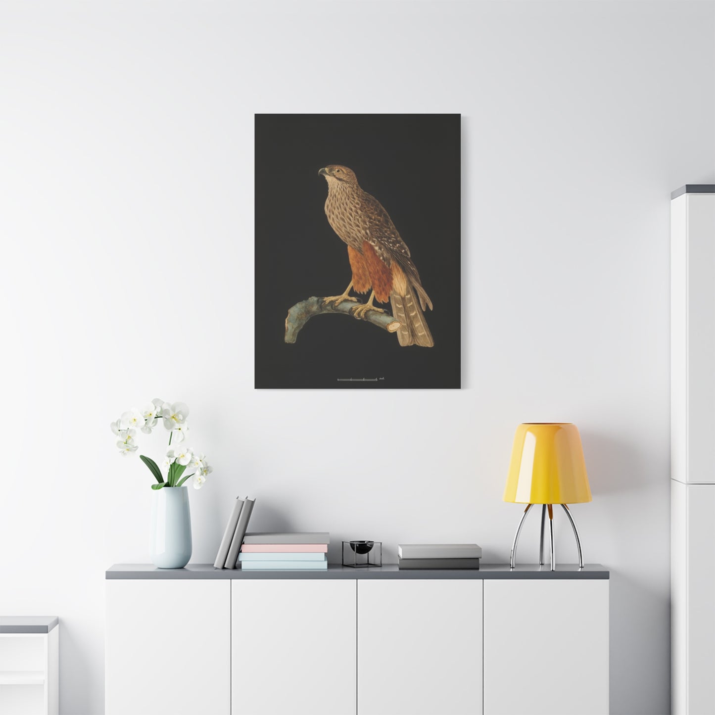 Falcon Art Canvas Print — Matte Stretched Bird Illustration