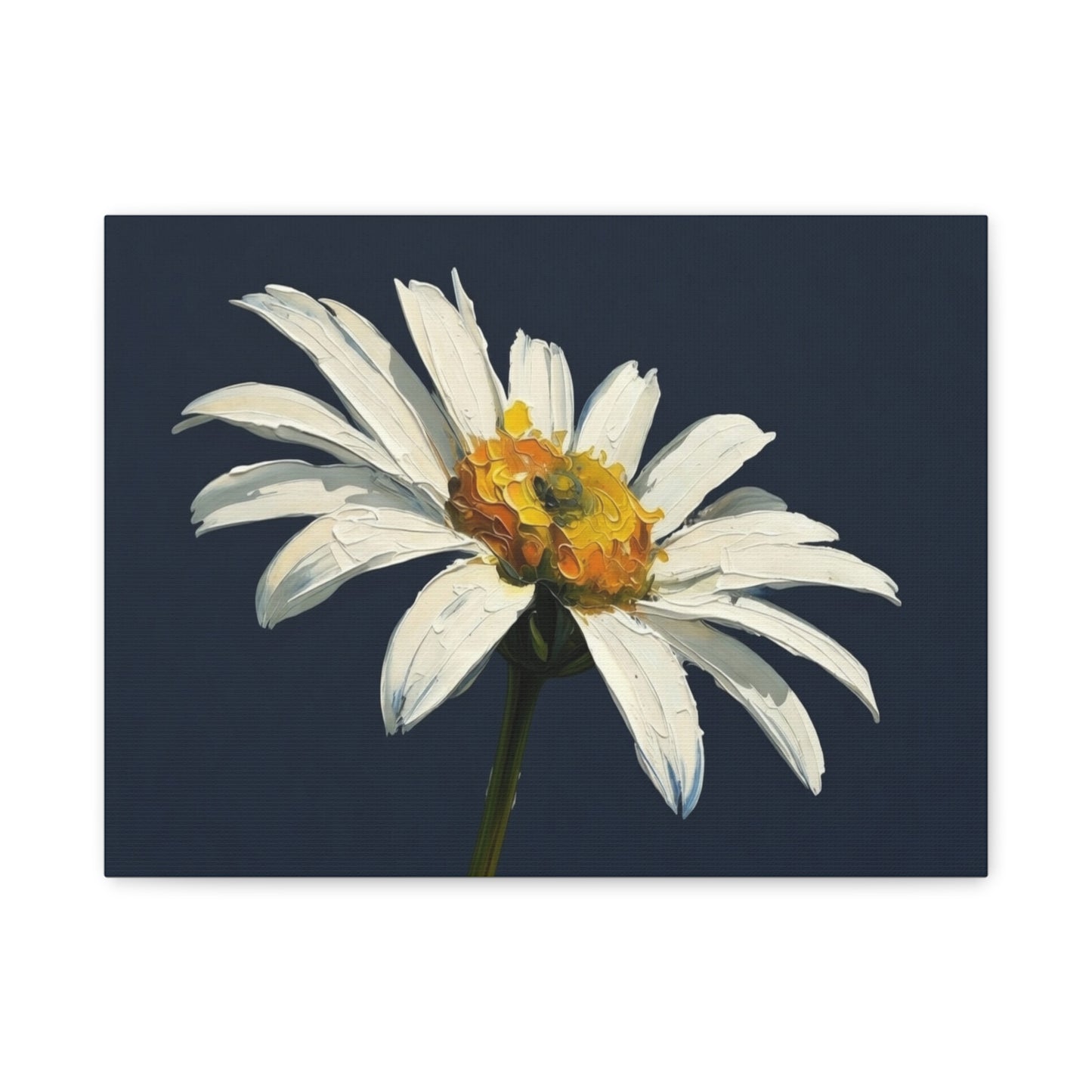 Daisy Oil-Paint Canvas Wall Art — Stretched Matte Floral Print