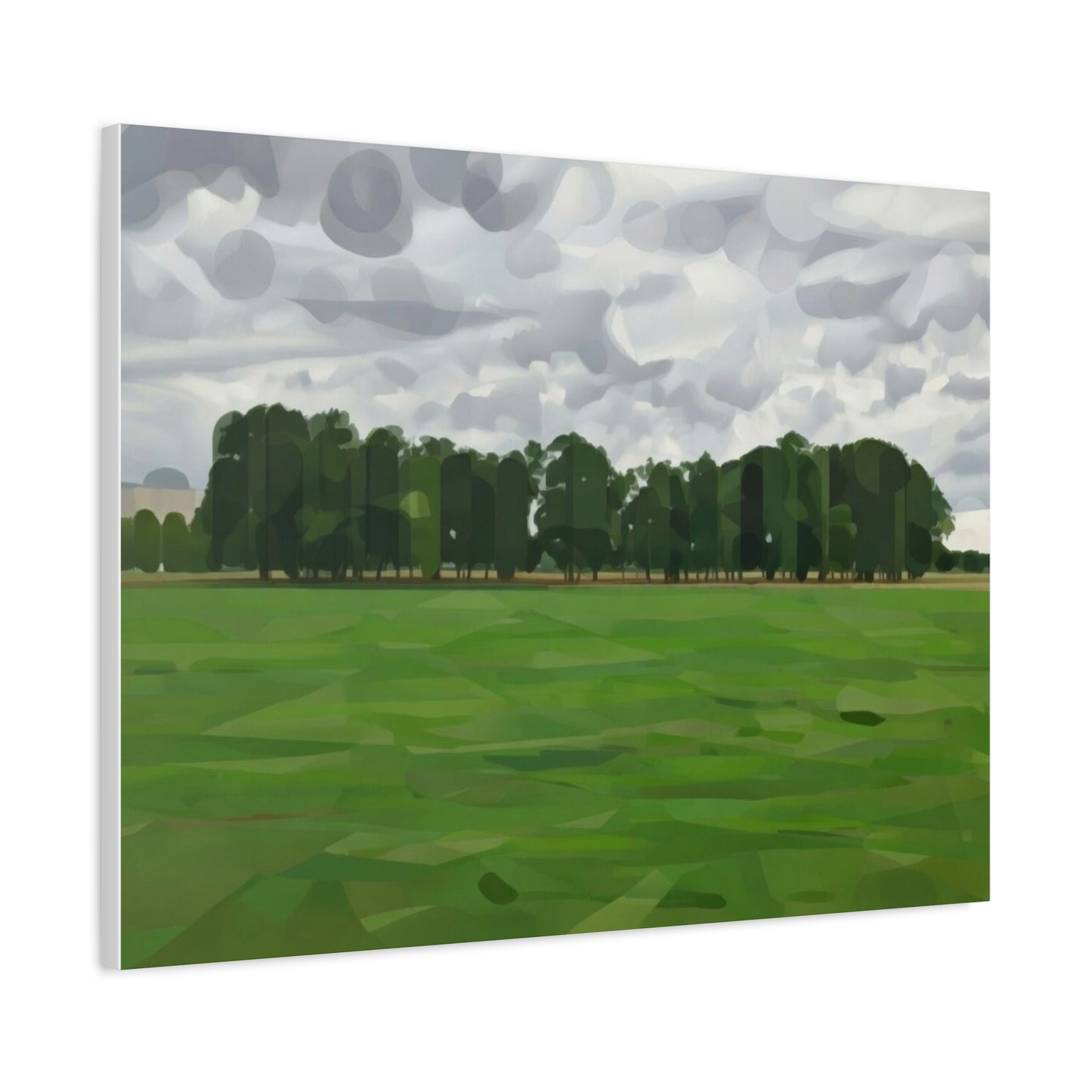Green Field Landscape Canvas Print — Tranquil Park Scene Matte Stretched Canvas