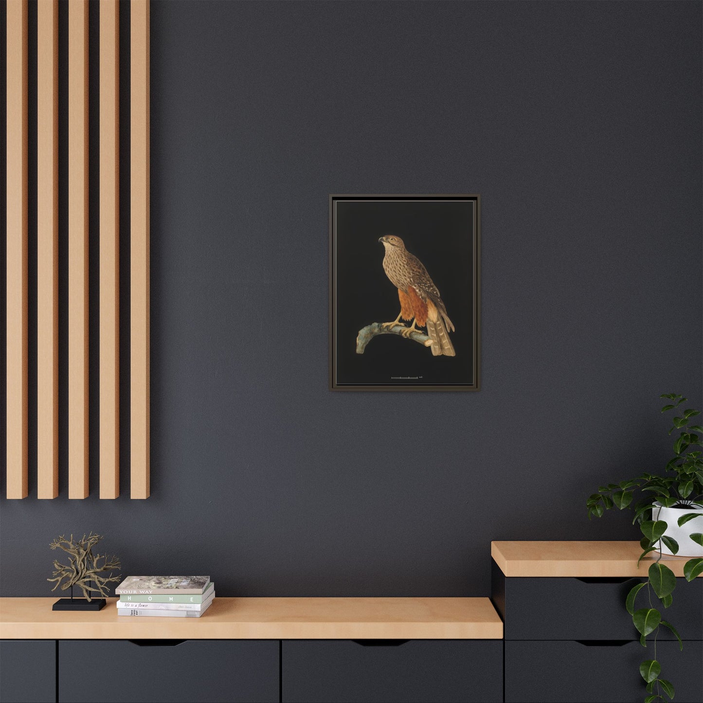 Framed Matte Canvas Print — Vintage Red-Shouldered Hawk Illustration