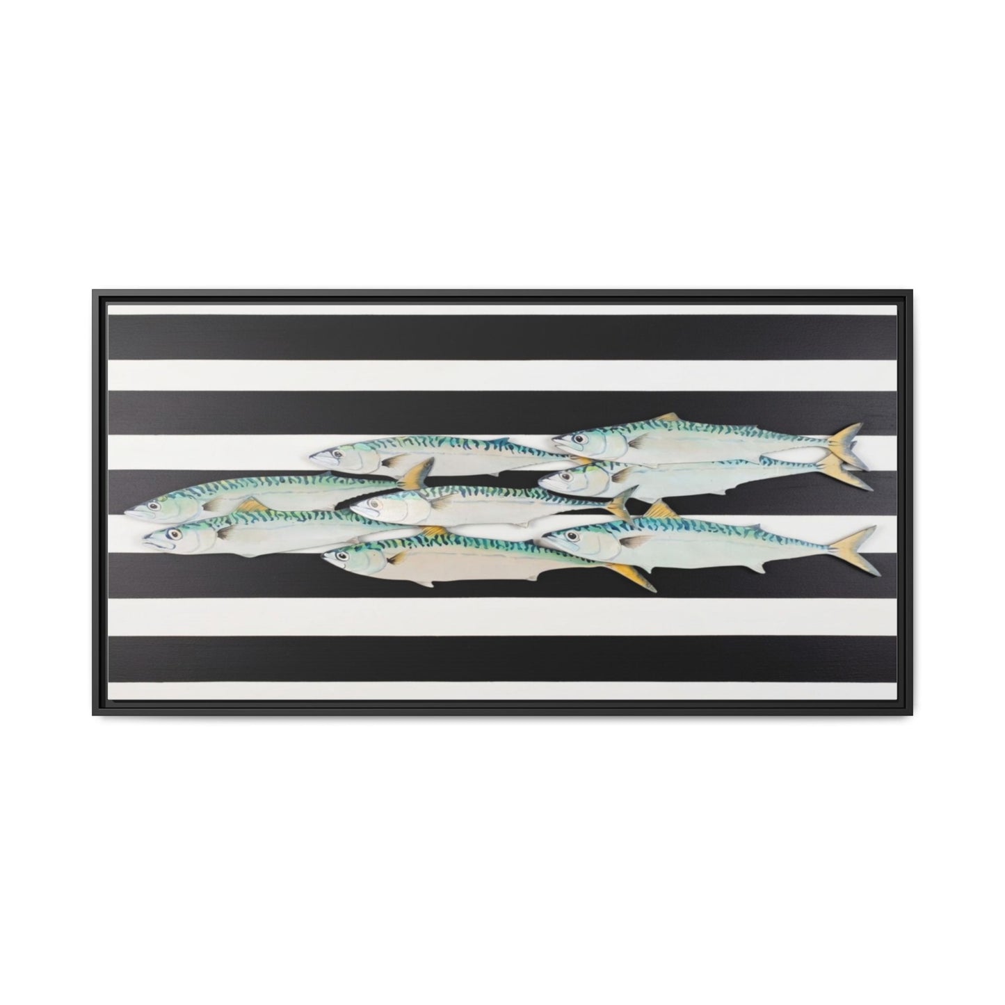 Striped Mackerel Canvas Print — Framed Matte Fish Wall Art