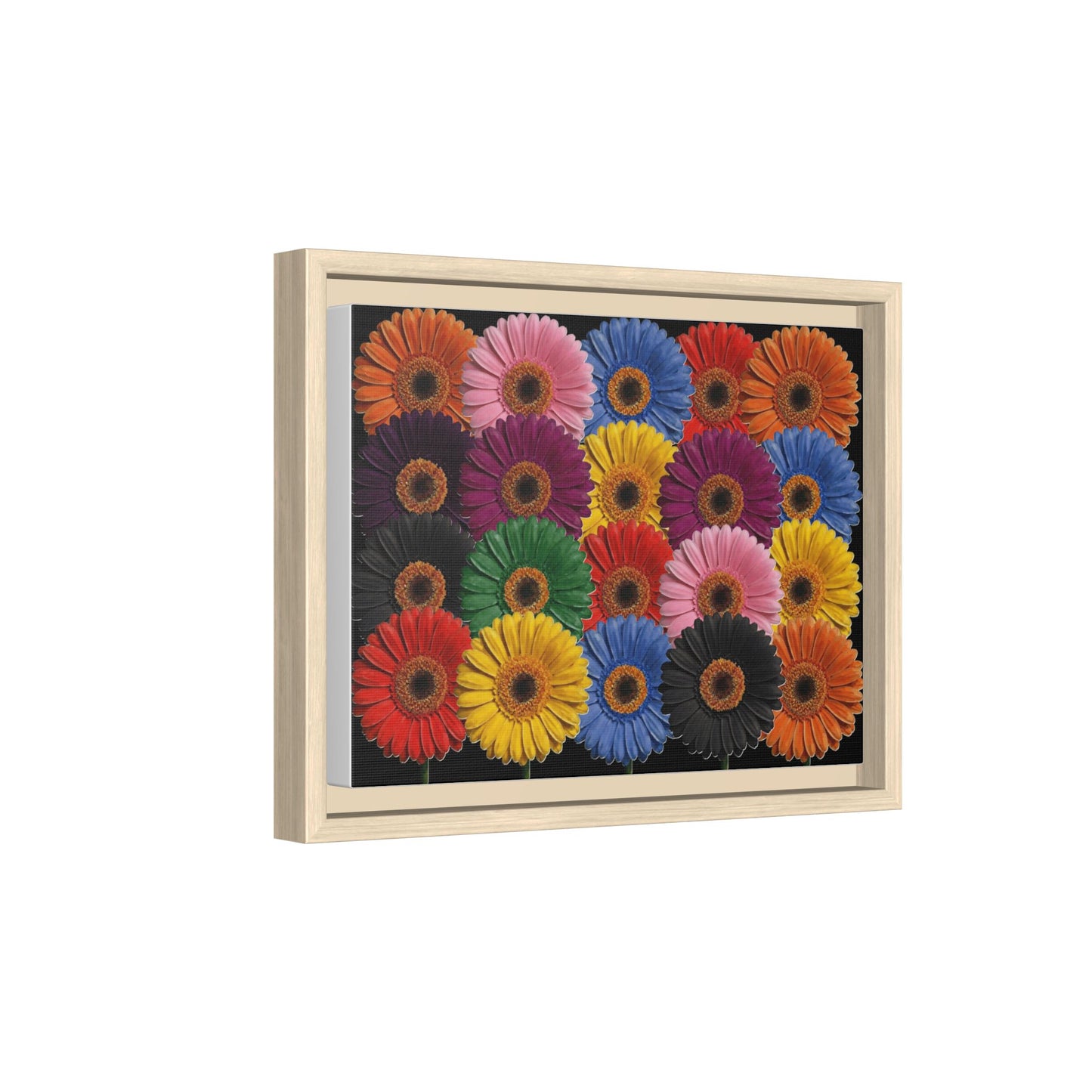 Framed Matte Canvas - Rainbow Gerbera Daisy Wall Art