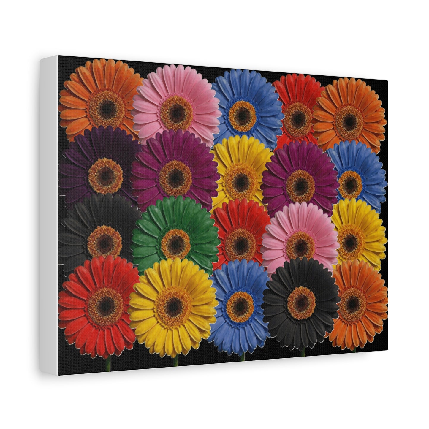 Colorful Gerbera Daisy Canvas Print — Vibrant Floral Wall Art