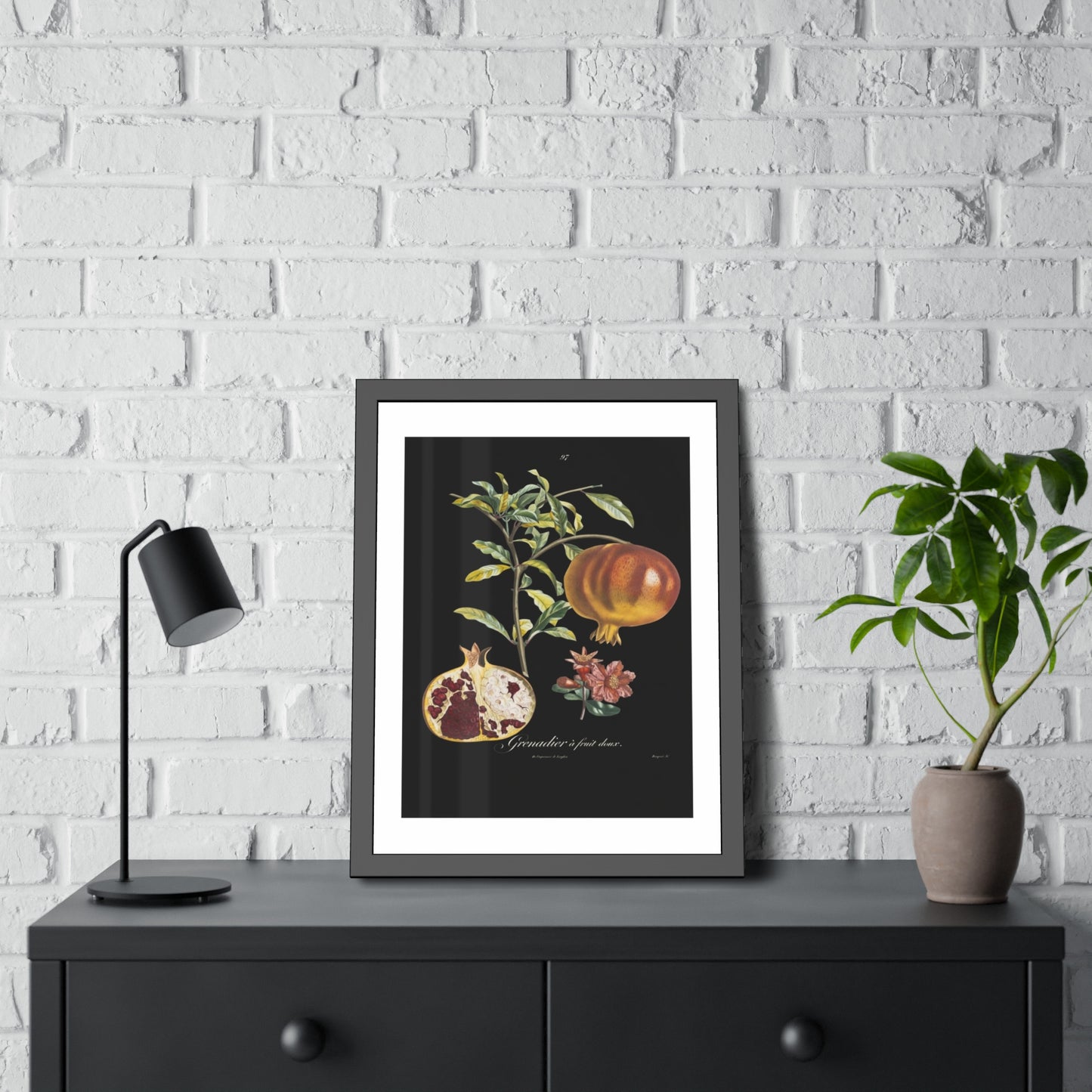 Pomegranate Botanical Framed Poster — Vintage Fruit Art Print