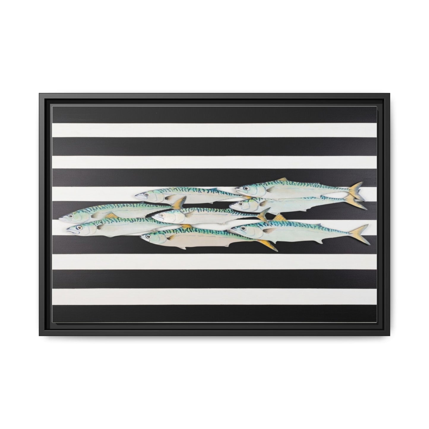 Striped Mackerel Canvas Print — Framed Matte Fish Wall Art
